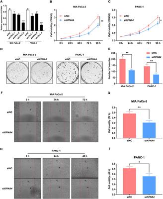 Corrigendum: Systematic characterization of the clinical relevance of KPNA4 in pancreatic ductal adenocarcinoma